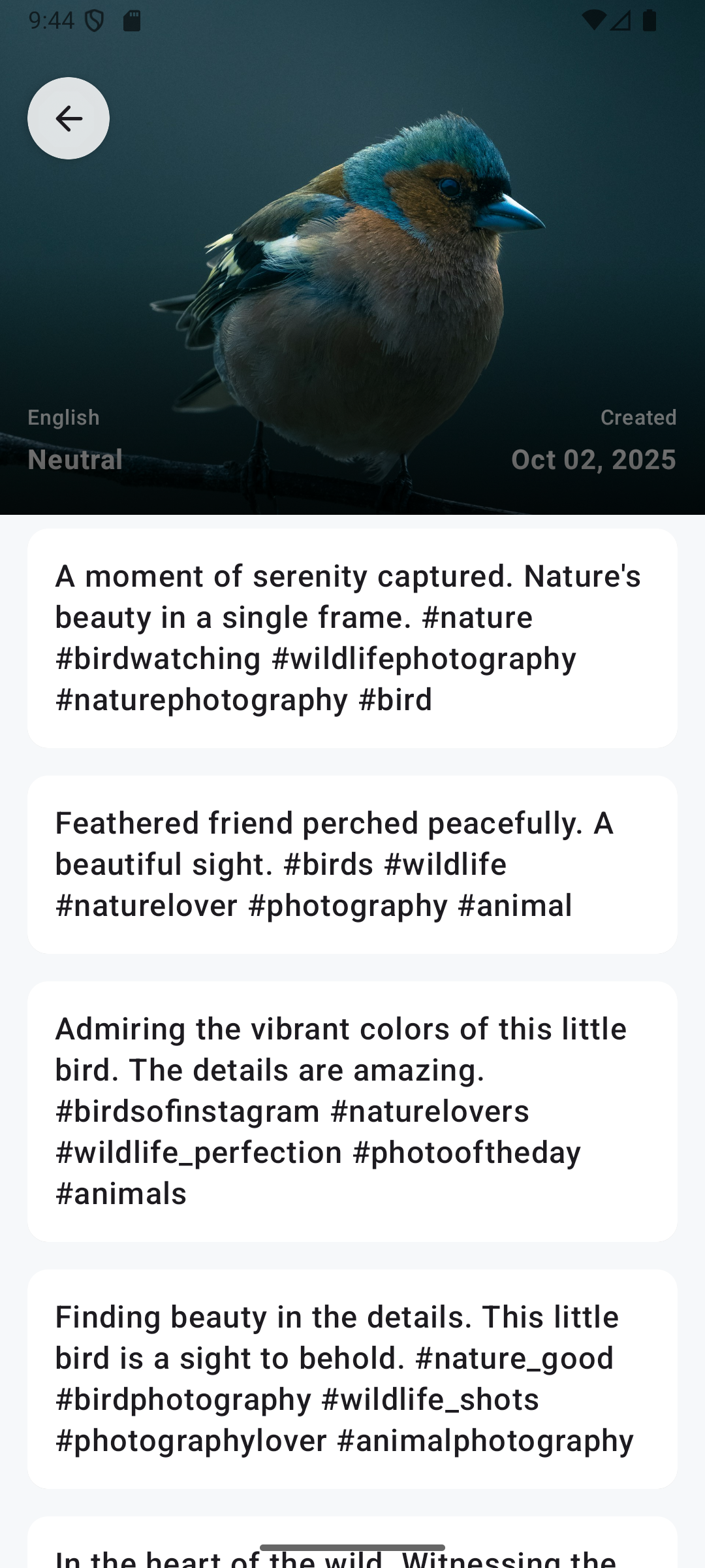 InstaCaption App Screenshot